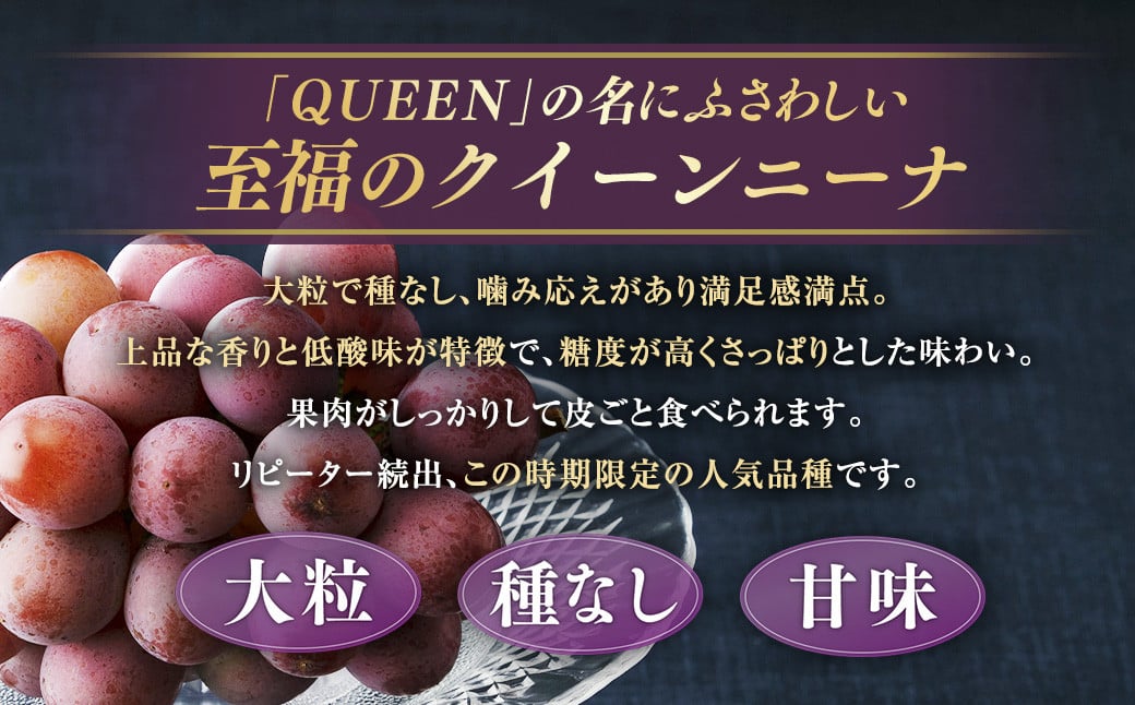 【定期便3回】 ［種なし］ 岡山県産 ニューピオーネ ・ クイーンニーナ ・ シャインマスカット 1kg箱（2房入り）
