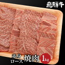 【ふるさと納税】飛騨牛 ロース もも肉 食べ比べ 焼肉 1kg（500g×2） A5等級 霜降り 赤身 飛騨高山 肉 牛 ブランド牛 和牛 朝日屋 TR4220