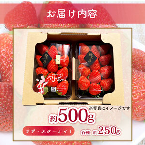 いちご 先行予約 ベリーポップすず スターナイト 500g いちご 