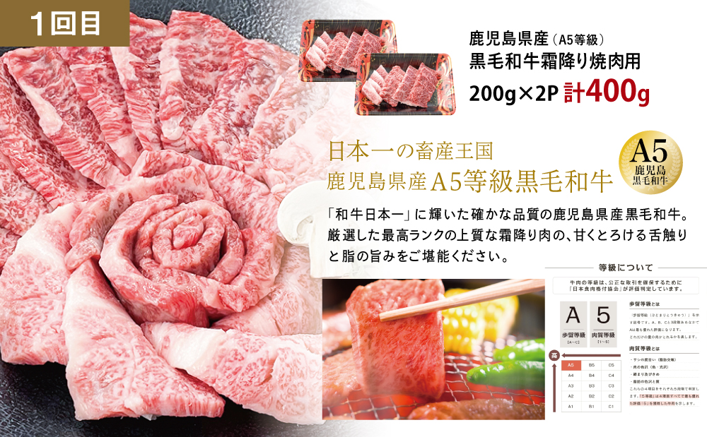 【厳選焼肉定期便】黒毛和牛・ブランド豚・牛タン 全3回コース 牛肉 焼肉 焼き肉 BBQ バーベキュー 豚肉 バラ ロース 牛タン お肉 小分け 冷凍 定期配送 カミチク スターゼン JA食肉かごしま 鹿児島県南さつま市