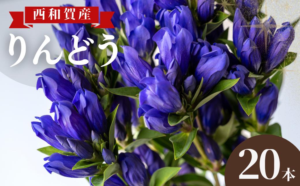 
            【受付9月まで】西和賀りんどう（1）旬の品種 20本
          