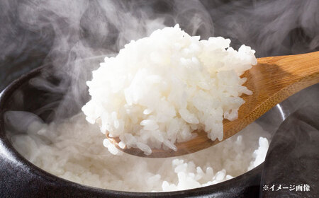 令和6年度産 栗東産 特別栽培米 コシヒカリ 5kg ご飯 ごはん ゴハン 栗東市 / レーク滋賀農業協同組合 [BIBV007]