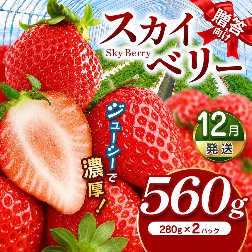 スカイベリー（贈答向け）【12月発送】約560g 真岡市 栃木県 送料無料