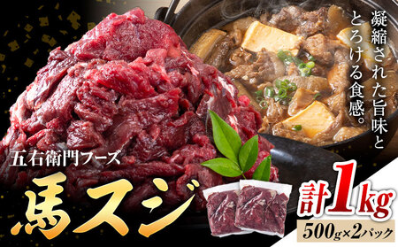 【ふるさと納税】馬スジ 合計1kg 500g×2パック 五右衛門フーズ《30日以内に出荷予定(土日祝除く)》 小分け すじ 馬すじ 馬肉 冷凍