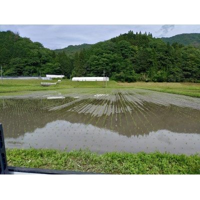 吉賀町かわの農園　つや姫玄米5kg【栽培期間中、農薬・化学肥料不使用】