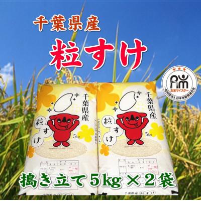 ふるさと納税 館山市 令和8年産 千葉県産粒すけ精米10kg(5kg×2袋)