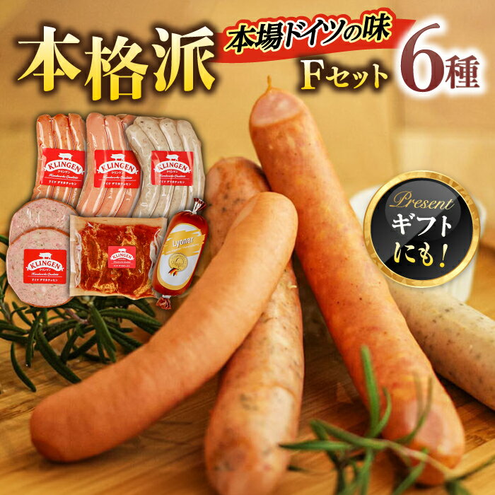 【ふるさと納税】マイスター直伝手作りソーセージ Fセット 6種 ウインナー ソーセージ ステーキ 岐阜市/ドイツデリカテッセン　クリンゲン[ANBQ006]
