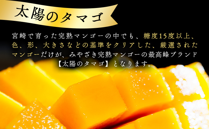KU357 宮崎県串間市産の完熟マンゴー「太陽のタマゴ」(赤秀2L×2個)化粧箱入り【スーパーほりぐち】