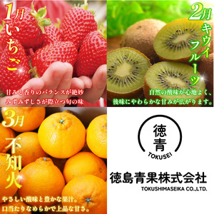 フルーツ 定期便 6ヶ月 フルーツ