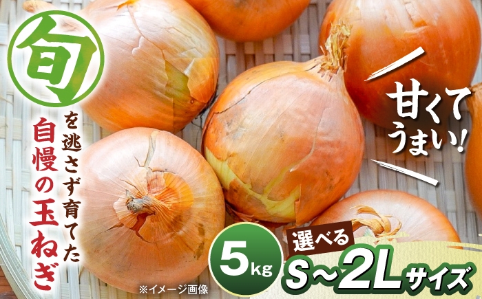 
                  【先行予約】【選べるサイズ】玉ねぎ5kg S～2Lサイズ 玉ねぎ たまねぎ タマネギ 玉ねぎ 玉葱 オニオン 旬 玉ねぎ 人気 おすすめ 滋賀県長浜市/柏本農園株式会社 [AQDZ005]
                