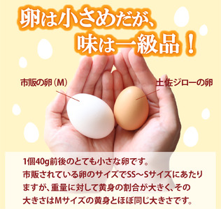 【ふるさと納税】＜土佐ジローの卵・焼き菓子セット・Ａ＞高知県　佐川町 シフォンケーキ　クッキー【常温】