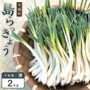 【ふるさと納税】【先行予約】島らっきょう☆2kg(皮処理済)与論の味をご家庭で(令和7年4月から順次発送) | 野菜 新鮮 数量限定 期間限定 旬野菜 らっきょう 皮処理済 与論島 ヨロン 鹿児島県