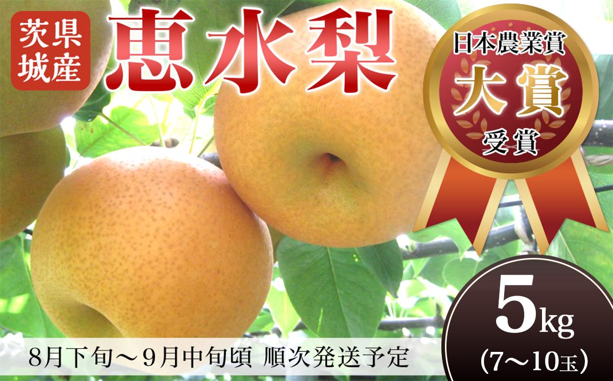 【第１回全国梨選手権 最高金賞受賞‼】茨城県産「恵水」梨5kg【2026年8月下旬～9月中旬にかけて発送予定】【 梨 恵水 なし フルーツ 果物 秋の味覚 デザート 茨城県産 甘い 選手権 最高金賞 】