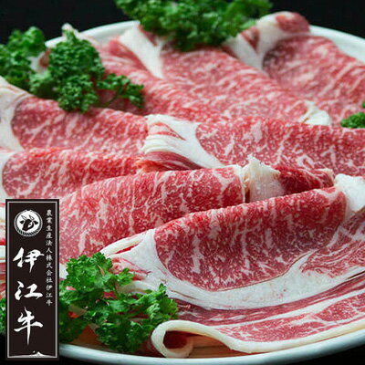 【ふるさと納税】 牛肉 伊江牛 赤身 すき焼き用 600g [伊江牛 沖縄県 伊江村 ie47bde180002] 肉 すき焼き すきやき 和牛 黒毛和牛