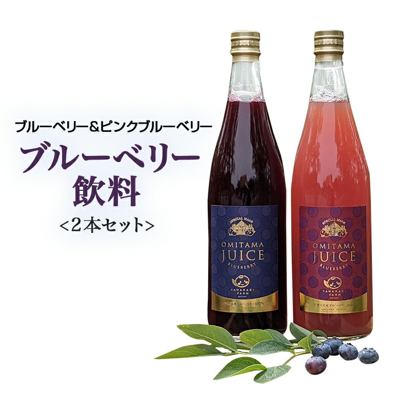 【ふるさと納税】果汁50％ピンクブルーベリー飲料1本＆果汁50％ブルーベリー飲料1本（化粧箱入り） ブルーベリー ブルーベリー飲料 ピンクブルーベリー フルーツ 果物 ジュース ビタミンE アントシアニン ギフト 贈り物 茨城県産 セット ドリンク 9-P