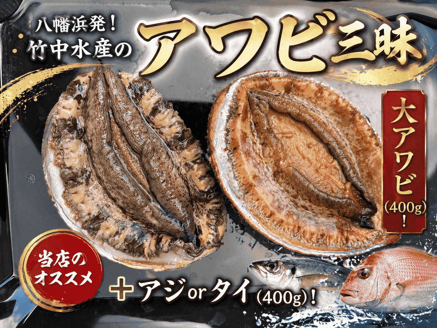 
                  F22-194.竹中水産の八幡浜発！「天然アワビ：大サイズ400g以上！」＋鮮魚１品 YWTM018

                