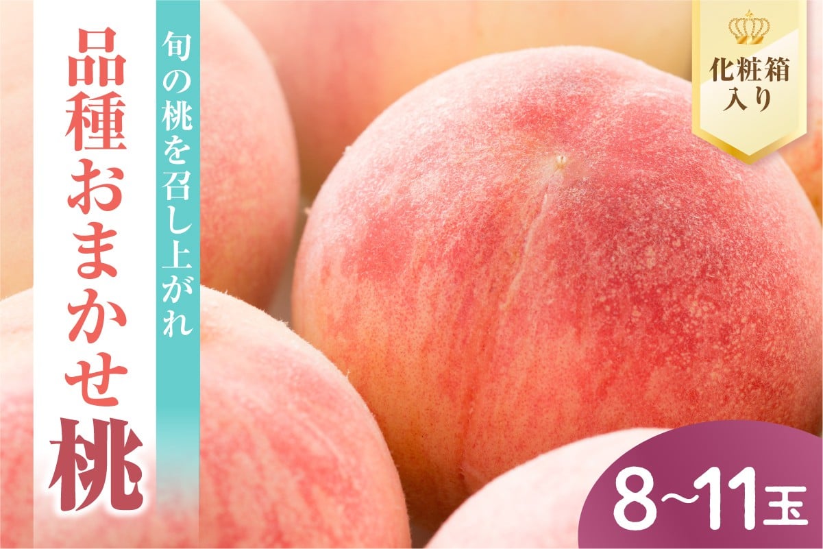 
            【先行予約】 数量限定 令和8年産 もも 8～11玉 品種 おまかせ 2026年8月中下旬～9月上旬頃 お届け予定
          