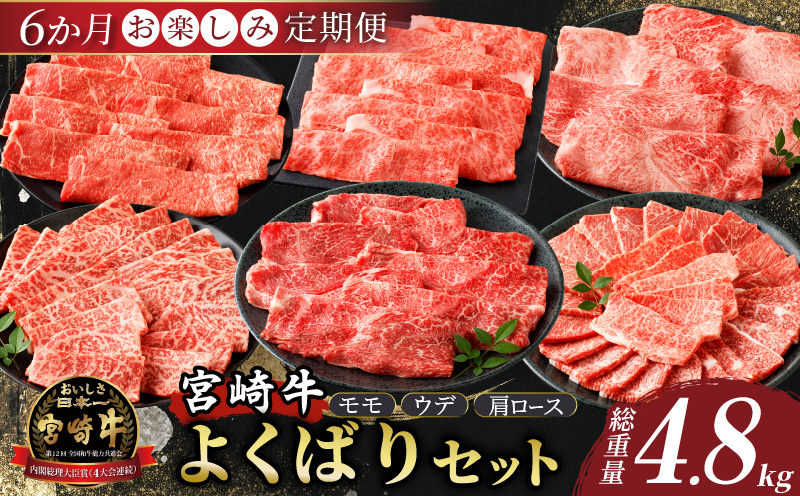 6か月お楽しみ定期便『宮崎牛よくばりセット』総重量4.8kg 肉 牛 牛肉 おかず 国産_T030-1843