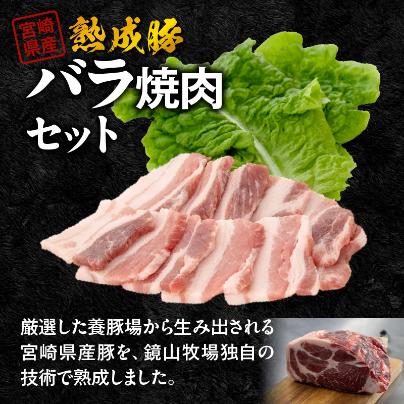 宮崎県産熟成豚 バラ焼肉セット 約250g×2個 N0105-YA2282 約250g×2個
