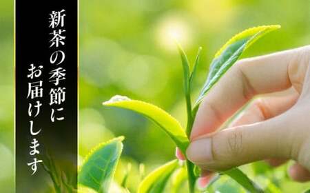 【2025年新茶先行予約】美濃白川茶 新茶セット 100g×2袋 お茶 おちゃ お茶葉 茶葉 緑茶 新茶 しんちゃ 白川茶 白川町 / 白川町農業開発[AWAH005]