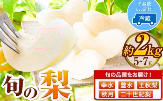 梨 幸水 豊水 約2kg 5~7玉 青空市きらり《8月中旬から12月中旬頃に出荷予定》岡山県 矢掛町 なし 幸水梨 豊水梨 あきづき 二十世紀梨 王秋梨 お中元 送料無料