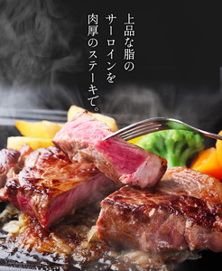 【極上 丹波篠山牛】 サーロインステーキ （4枚入） サーロイン [AB42]
