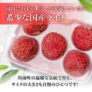 【令和8年産】川南町産ライチ（大粒）10粒(5粒×2パック) 【 国産ライチ フルーツ デザート 宮崎県産 】