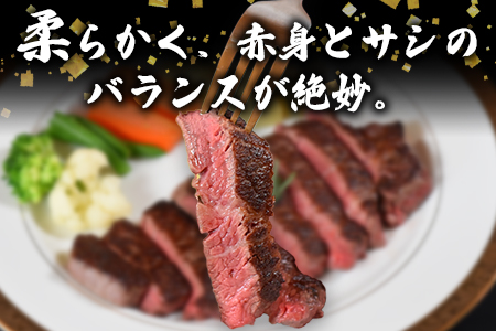 ＜宮崎県産黒毛和牛（経産牛）ヒレステーキ4枚＞(計約600g・約150g×4P)マキシマムスパイス(小袋)付き 国産 九州産 牛肉 精肉 ヒレ フィレ 赤身 希少部位 ステーキ 焼肉 アウトドア 調味