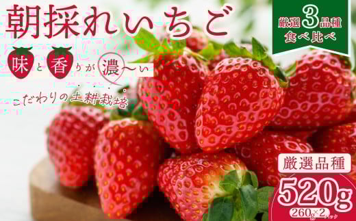 【2026年 先行予約】【いちご3種 食べ比べ】 いちご2パック×1箱  |  苺 イチゴ いちご  香り 大粒 いばらキッス ひたち姫 やよいひめ 厳選 フルーツ 新鮮 朝採れ 採れたて フレッシュ 旬 鮮度 甘い 美味しい 糖度 酸味 バランス 果肉 健康 果物 ブランド デザート 贈り物 食べ比べ 人気 リピート おすすめ 檜山いちご園 茨城県 常陸太田市