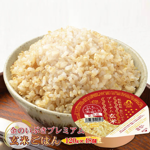 玄米ごはんパック 120g 48個 玄米 米 お米 ごはん ご飯 こめ パックライス パックご飯 パックごはん ご飯パック ごはんパック パック ライス 備蓄 保存 非常食 防災 レンジ 温めるだけ 健康 ダイエット 美容 ヘルシー 