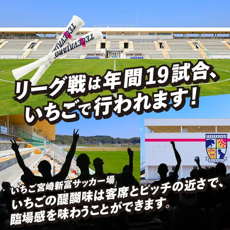 テゲバジャーロ宮崎　応援グッズ3点セット テゲバ 応援 グッズ