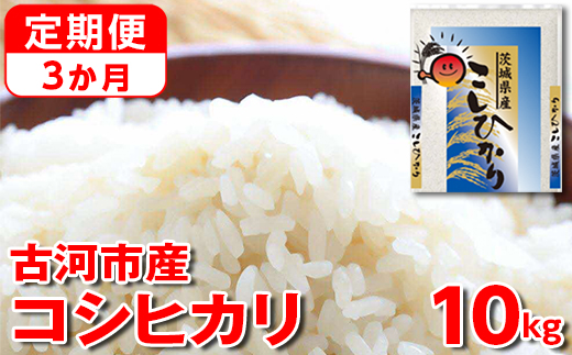 【定期便 3か月】【新米】令和7年産 古河市産コシヒカリ 10kg（5kg×2袋）｜米 コメ こめ ごはん ご飯 ゴハン 白飯 単一米 国産 コシヒカリ こしひかり 10kg 定期便 3ヶ月 3回 茨城県 古河市_DP43