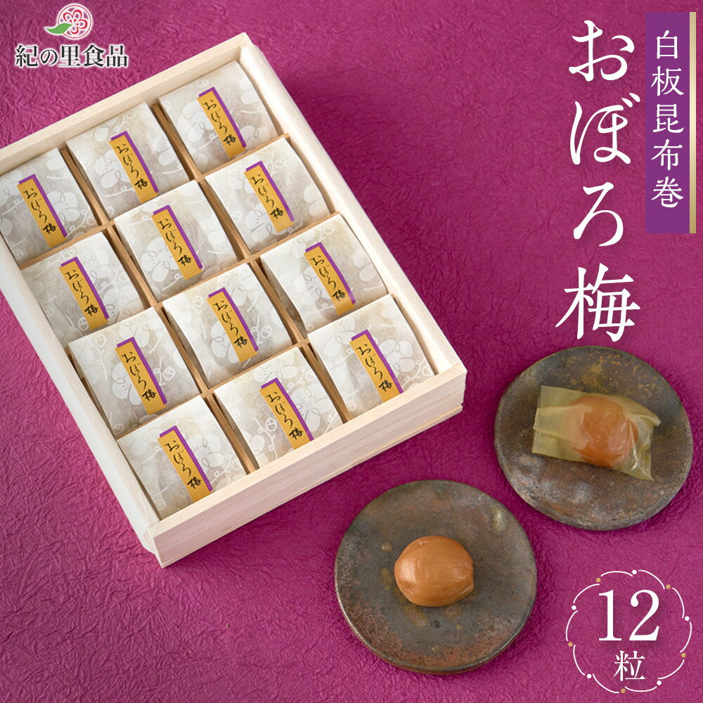 【ふるさと納税】白板昆布巻おぼろ梅 12粒 ［Kn24］ | 梅 昆布 食品 加工食品 人気 おすすめ 送料無料