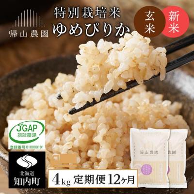 ふるさと納税 知内町 【令和8年産新米先行受付】【12カ月定期便】特別栽培米産地直送玄米ゆめぴりか2kg×2個 箱入