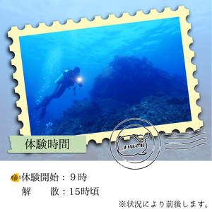 水着1つでお越しください!徳島最南端の海でファンダイビング!