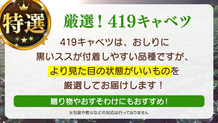 ＜7月中旬発送開始＞ 【 特選 】 まぼろしの419キャベツ 2玉 [AL020tu]