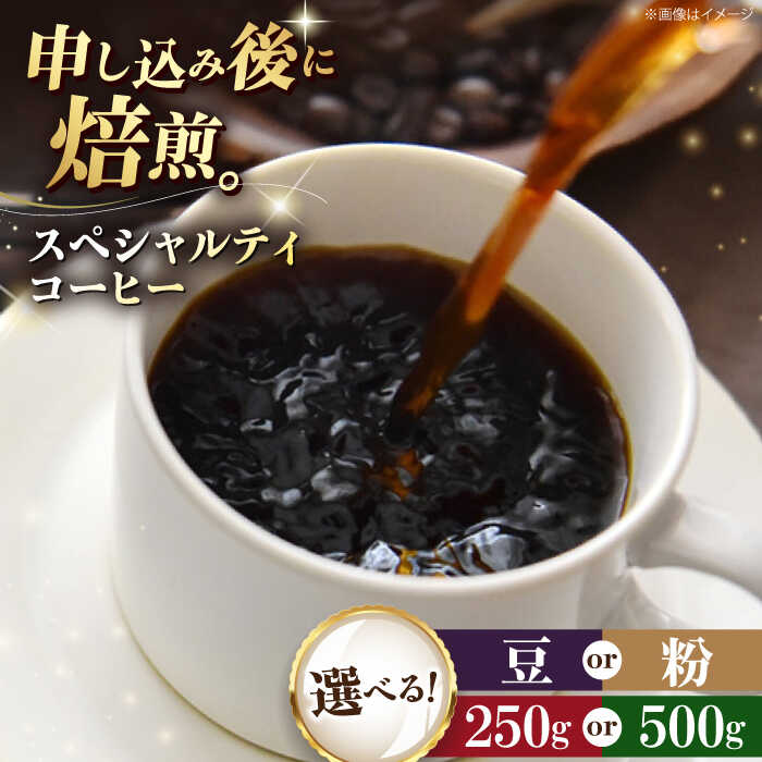 【ふるさと納税】【選べる内容量/豆or粉】コーヒー豆 スペシャルティコーヒー おすすめ1種 250g or 500g | 人気 おすすめ ランキング おいしい 珈琲 ドリップ 飲料 大洲市/株式会社日珈[AGCU025]