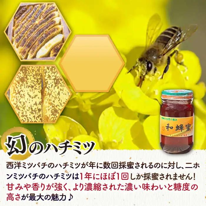 和蜂蜜（ニホンミツバチ）300g×2本＋300gパッカー[JDP002] ハチミツ