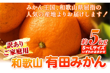 【訳ありご家庭用】和歌山有田みかん5kg(S～Lサイズいずれかお届け) 厳選館《11月中旬-1月末頃出荷》和歌山県 日高川町 有田みかん みかん 蜜柑 ミカン 柑橘 送料無料