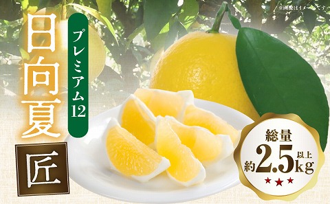 《2026年発送先行予約》【数量・期間限定】日向夏「匠」プレミアム12 甘い 酸っぱい 完熟