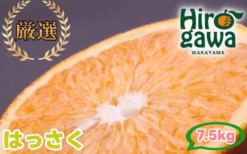 
            はっさく 7.5kg+250g（痛み補償分） 厳選 光センサー / 八朔 高級 甘い 和歌山 有田 柑橘 ※1月上旬〜4月上旬頃に順次発送予定 ※北海道・沖縄・離島への配送不可 【ikd021-p-7d5】
          