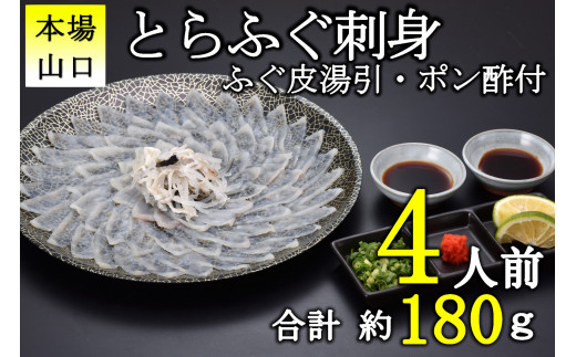 とらふぐ 刺身 4人前（冷凍）【ふぐ刺し ふぐ 皮 刺身 ふぐ刺身 ふぐさし フグ 河豚 海鮮 配送日指定可能 日時指定可能 ★レビューキャンペーン対象★】