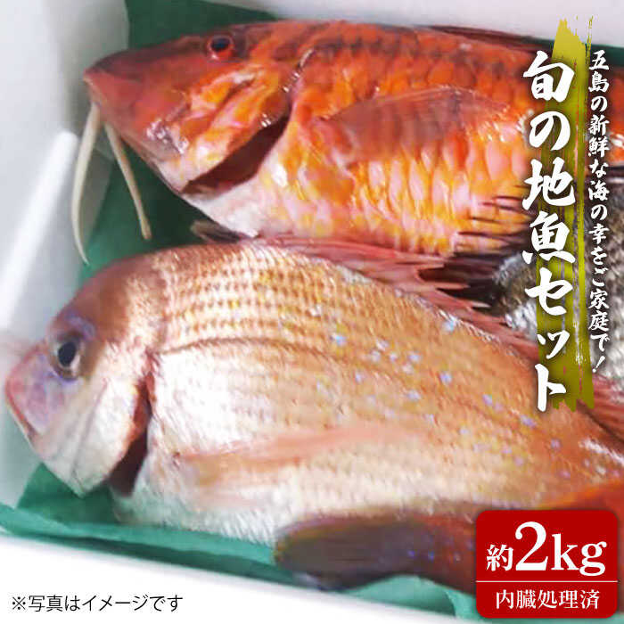 【ふるさと納税】旬の地魚セット（ウロコ・エラ・内臓処理済）五島市 / 五島FF [PBJ009] 鮮魚 冷蔵 魚介 刺身 魚
