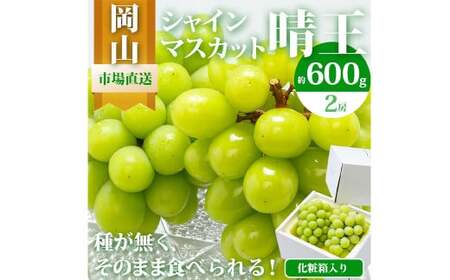 岡山県産 シャインマスカット『晴王』2房（1房600g以上） 化粧箱入り 【2026年8月下旬-10月上旬迄発送予定】 ／ マスカット 葡萄 ぶどう 果物 果実 フルーツ 岡山県 美咲町 冷蔵