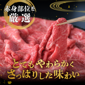 【冷凍】前沢牛 赤身皿盛りすきやき･しゃぶしゃぶ用(500g)【冷凍発送】 柔らかいのにさっぱりした赤身! [BT010]