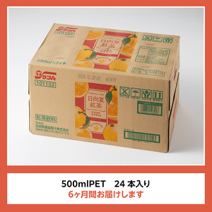 【6ヶ月定期便】 サンA 日向夏 紅茶 HINATA TEA 500mlＰＥＴ 24本 入り 【飲料 日向夏 紅茶 PET ジュース 長期保存 送料無料】