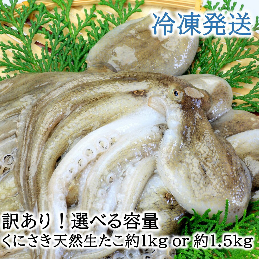 【ふるさと納税】【訳あり】選べる容量！くにさき天然冷凍生たこ