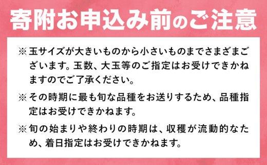 【2027年発送先行予約】岡山の桃 約500g《2027年6月下旬～9月上旬頃出荷》岡山県 笠岡市 白桃 岡山 はくとう スイーツ フルーツ 果物 デザート 旬 モモ もも 送料無料 果物 清水白桃 