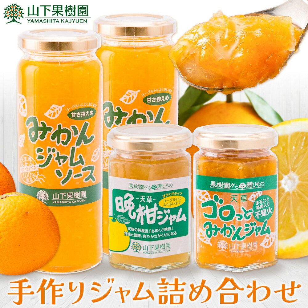 【ふるさと納税】ジャム 手作り 詰め合わせ みかんジャムソース 235g×2本 天草晩柑ジャム 150g×1本 ゴロっとみかんジャム 150g×1本 計3種 計4本セット 山下果樹園 熊本県 苓北町 送料無料 ジャム 手づくり みかん 柑橘《90日以内に出荷予定(土日祝除く)》