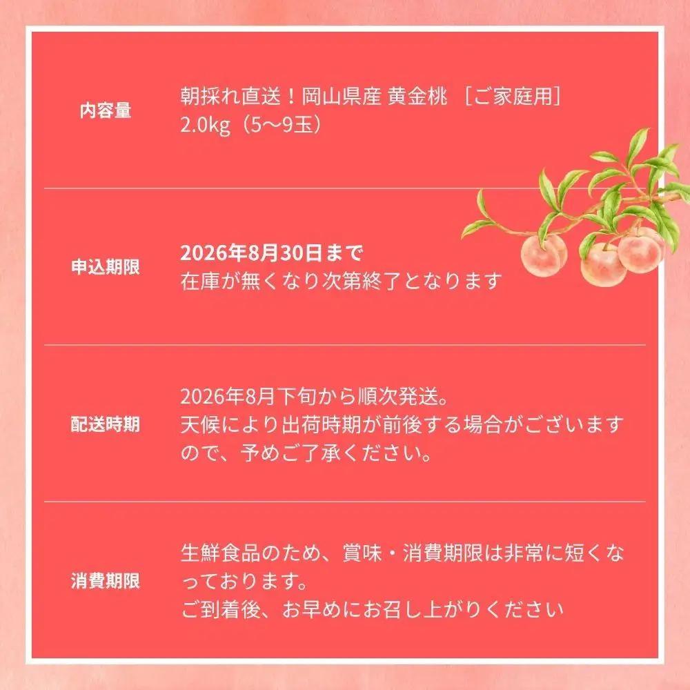 【2026年先行予約】［なんばふぁーむ］岡山県産 黄金桃 2.0kg（5～9玉）［ご家庭用］桃 もも モモ おうごんとう フルーツ 果物 朝採り旬 岡山県産 産地直送 産直 送料無料 鏡野町